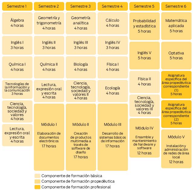 estructura curricular